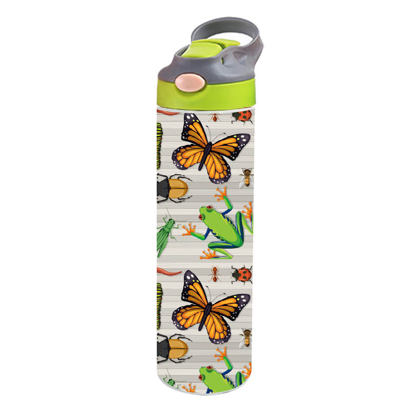 Stainless Steel Insulated Drink Bottle 590ml (20oz) - Frog Bug